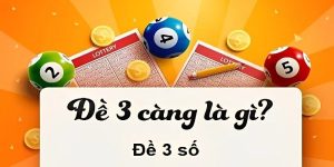 Đề 3 càng là gì?